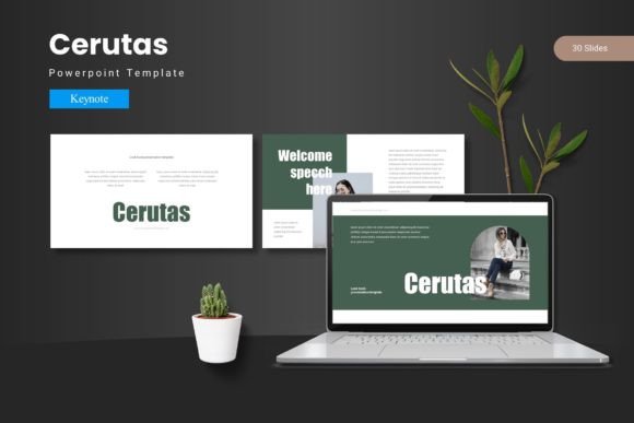 Cerutas - Keynote Template: Design Slides That Actually Connect