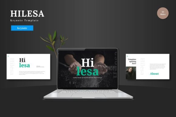 Master Your Next Pitch: The Hilesa Keynote Template