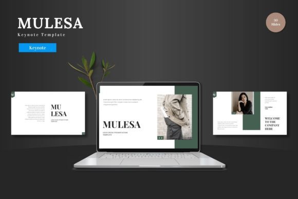 Mulesa Keynote Template: Professional Slides Made Simple